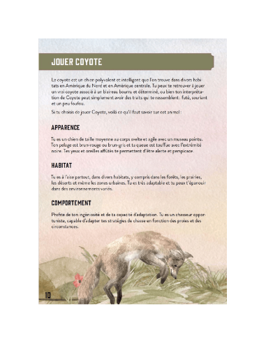 Le Coyote et le Blaireau - Jeux de Rôles - Jeux 2 Joueurs - visuel de la page 10