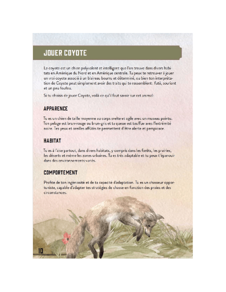 Le Coyote et le Blaireau - Jeux de Rôles - Jeux 2 Joueurs - visuel de la page 10