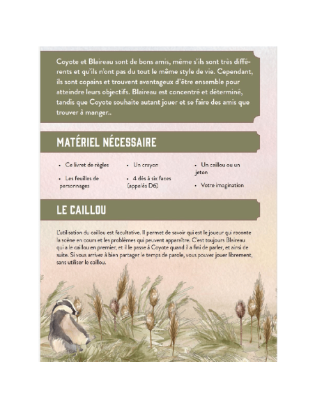 Le Coyote et le Blaireau - Jeux de Rôles - Jeux 2 Joueurs - visuel de la page de matériel