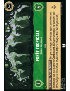 S5 - 102/204 - Forêt...