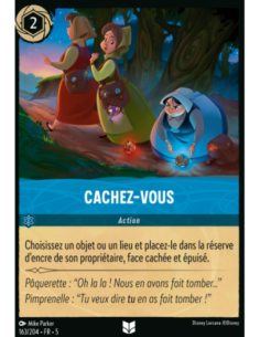 S5 - 163/204 - Cachez-vous