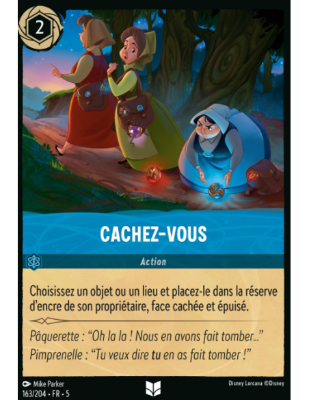 S5 - 163/204 - Cachez-vous