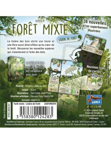 Forêt Mixte : Lisière de forêt - Extension visuel de la boite arrère