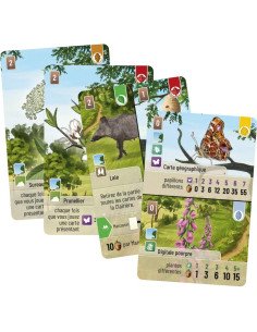 Forêt Mixte : Lisière de forêt - Extension visuel de la boite 2