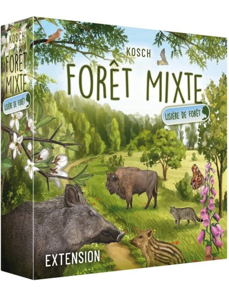 Forêt Mixte : Lisière de forêt - Extension visuel de la boite