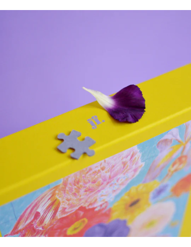 Nature peinture - Puzzle 1000 pièces - Visuel boite