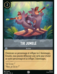 S6 - 197/204 - Tir jumelé