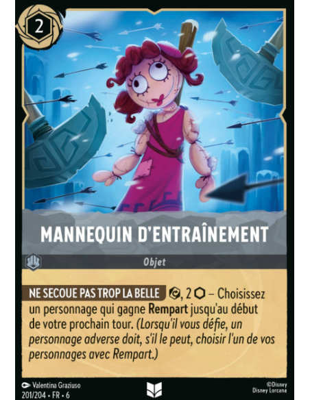 S6 - 201/204 - Mannequin d'entraînement