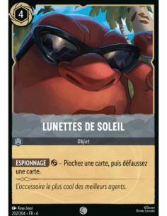 S6 - 202/204 - Lunettes de...