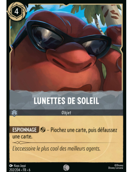 S6 - 202/204 - Lunettes de soleil