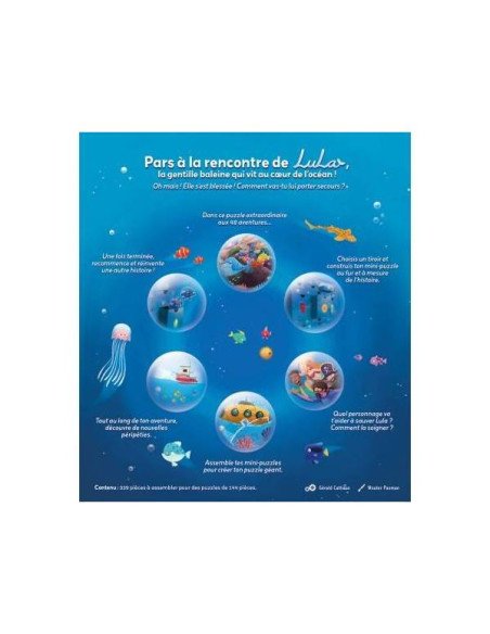 Lula - Puzzle Odyssey - visuel d'arrière de la boîte