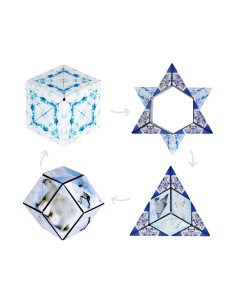 Shashibo Arctic - dans la boîte 2