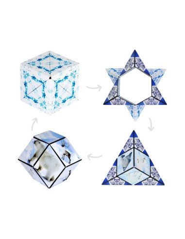 Shashibo Arctic - dans la boîte - exemple de formes