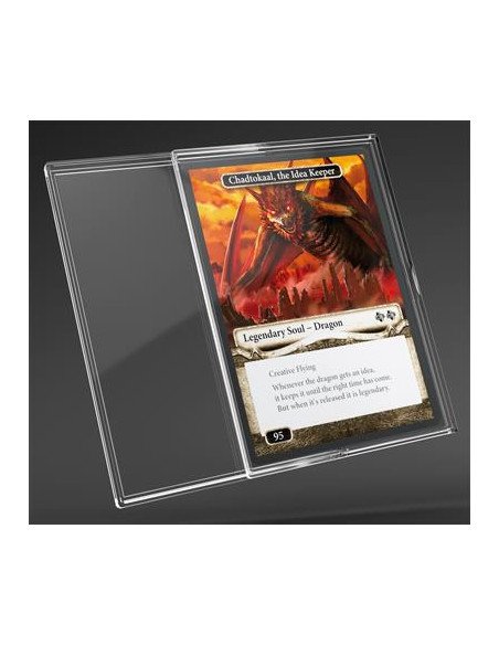 GG : Slide Card Cases -  Protège carte image png  image exemple