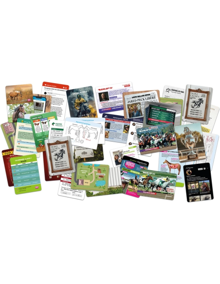 Dossiers criminels Pocket - Qui a tué Jasper Lord Ravary II - Matériel du jeu