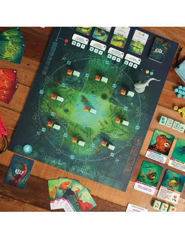 Kelp JEU DE SOCIété 2 joueurs duel affrontement asymétrique combat deck bulding bag png jpeg