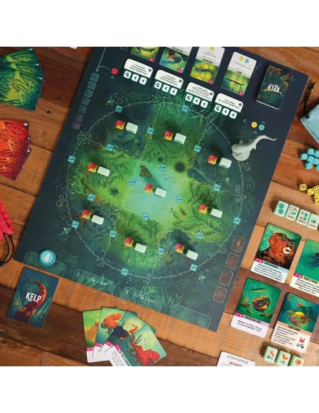 Kelp JEU DE SOCIété 2 joueurs duel affrontement asymétrique combat deck bulding bag png jpeg