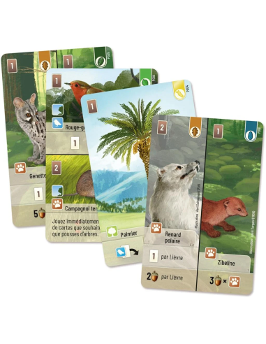 Forêt Mixte : Exploration (Ext.)