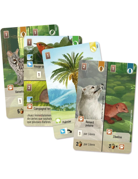 Forêt Mixte : Exploration (Ext.)