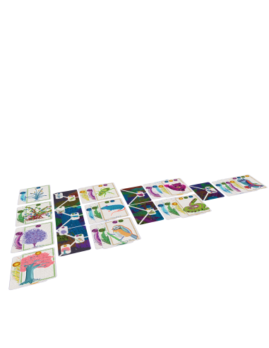 Dame Nature - Jeu de société - Coopératif - Matériel du jeu