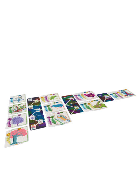 Dame Nature - Jeu de société - Coopératif - Matériel du jeu