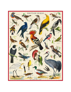 Oiseaux Britaniques -... 2