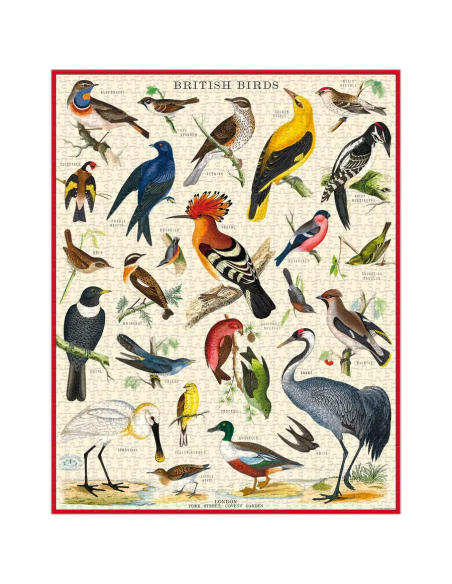 Oiseaux Britaniques - Puzzle 1000 pièces