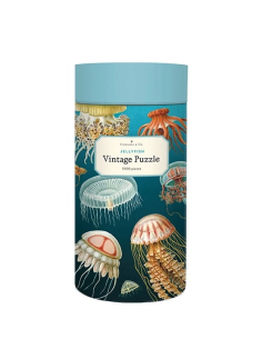 Meduses (Jellyfish) -...