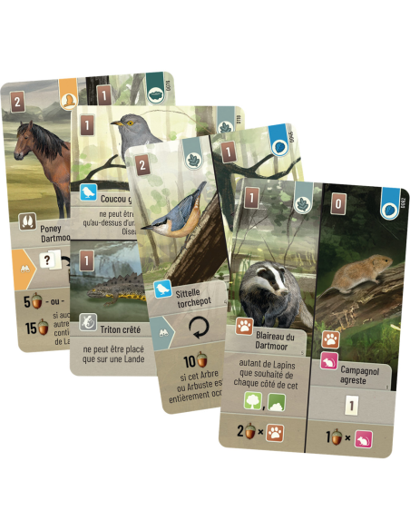 Foret mixte : Dartmoor