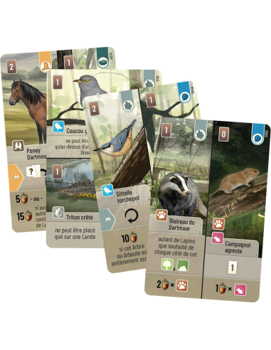 Foret mixte : Dartmoor