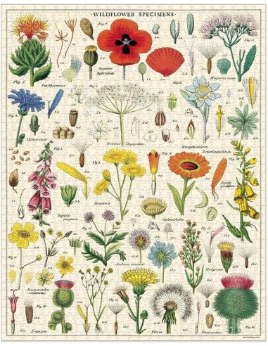 Wildflowers, Fleurs Sauvages - Puzzle 1000 pièces, tubes, vintage, affiche