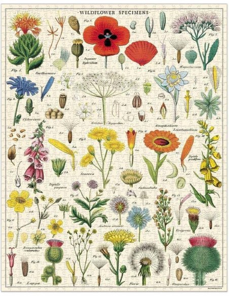 Wildflowers, Fleurs Sauvages - Puzzle 1000 pièces, tubes, vintage, affiche