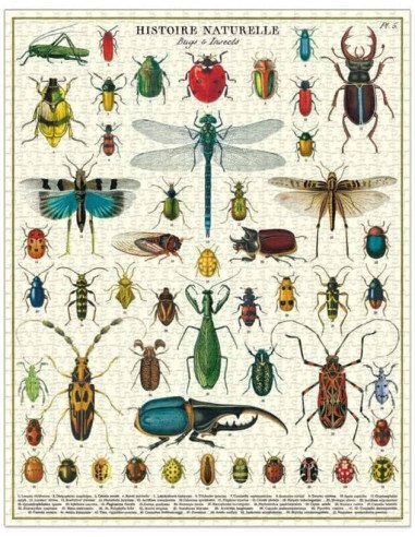 Insectes - Puzzle 1000 pièces, bugs, tube, vintage, affiche