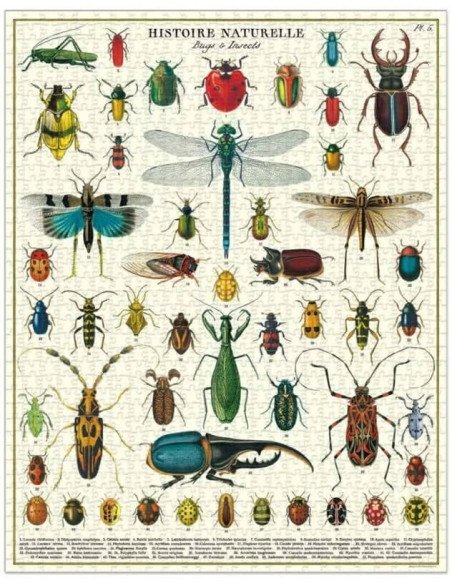 Insectes - Puzzle 1000 pièces, bugs, tube, vintage, affiche