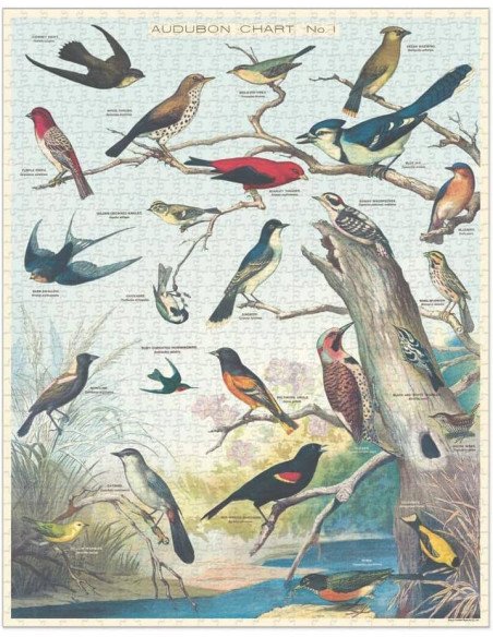Oiseaux d'Audubon - Puzzle 1000 pièces, bird, tube, affiche, vintage