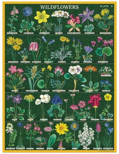 Fleurs Sauvages - Mini Puzzle 240 pièces, cavallini, vintage, wildflowers
