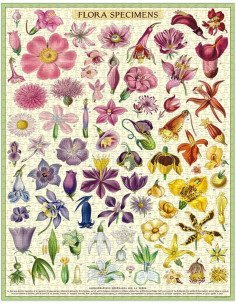 Puzzle Cavallini - Specimen de Fleur 2