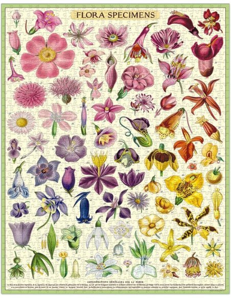 Specimen de fleurs - Puzzle 1000 pièces