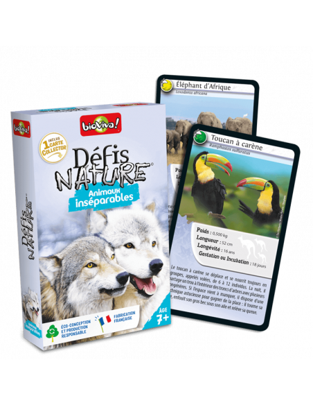 Défis Nature : Animaux Inséparables