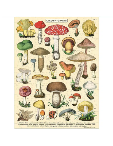 Champignon - Mini Puzzle 240 pièces