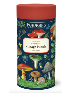 Champignons (Foraging) -...