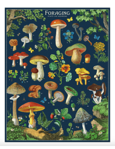 Champignons - Puzzle 1000 pièces