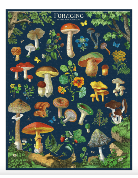 Champignons (Foraging) - Puzzle 1000 pièces