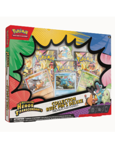 Image du Coffret Collection Pin's Héros Transcendants