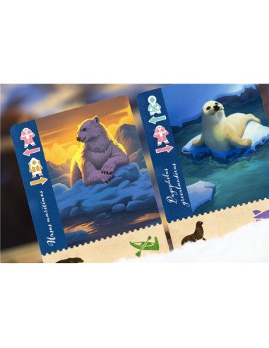 Borealis : Expéditions Arctiques