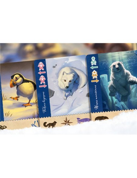 Borealis : Expéditions Arctiques