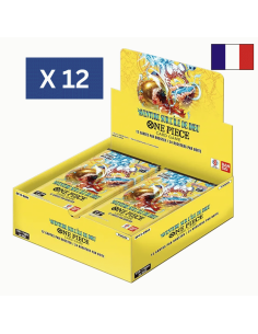 Visuel de la display Français OP15. On y voit une display ouverte, un logo X12 et un drapeau Français