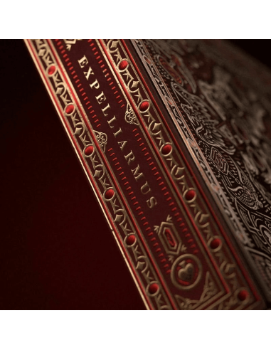 Theory11 - Harry Potter Gryffindor /...