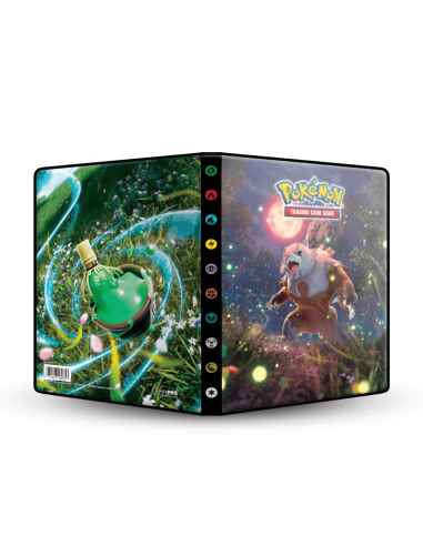 Portfolio Pokemon - 80 cartes (Divers)