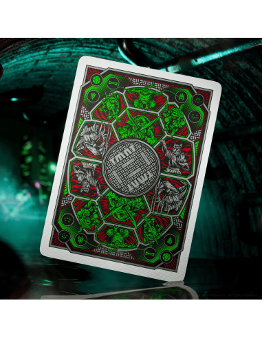 Theory11 - Tortue Ninja